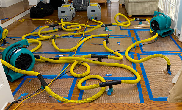 Professional Water Extraction technician working in Louisburg, NC