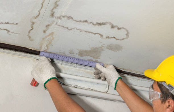 Affordable Water Damage Repair solutions in Louisburg, NC